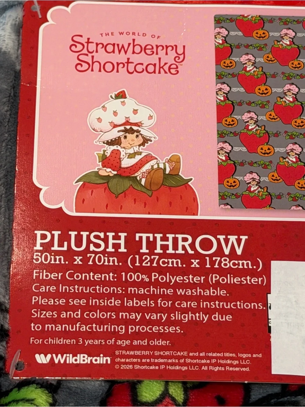 ❤️Strawberry Shortcake Halloween Plush Throw Blanket - New So Cute! 50”x70” NWT
